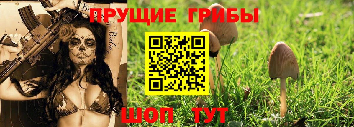 Псилоцибиновые грибы ЛСД  Вход с VPN  Бахчисарай 
